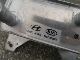 Hyundai Kona I Kita variklio detalė 25670K4500