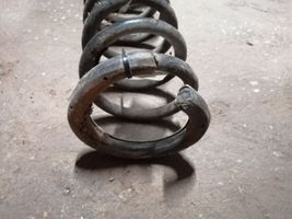 Renault Scenic RX Rear coil spring 