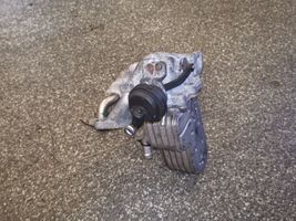 Audi A8 S8 D3 4E EGR aušintuvas 057131512