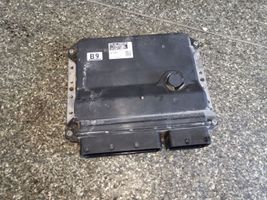 Toyota Corolla E140 E150 Sterownik / Moduł ECU 8966112B91