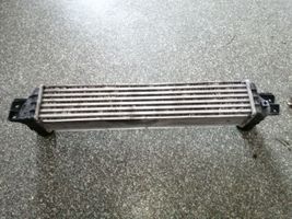 Opel Antara Chłodnica powietrza doładowującego / Intercooler 96629070