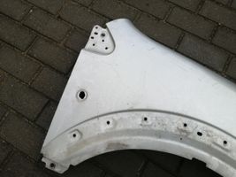 Ford Transit -  Tourneo Connect Fender 