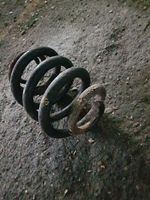 Volkswagen Transporter - Caravelle T5 Rear coil spring 