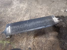 Nissan X-Trail T31 Radiatore intercooler 14461JG70B