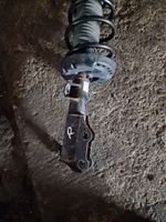 Chevrolet Equinox Front shock absorber/damper 