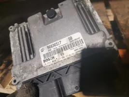 Chevrolet Captiva Calculateur moteur ECU 96836517