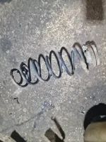 Volkswagen Bora Rear coil spring 