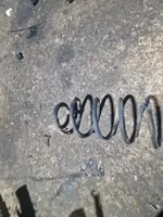 Volkswagen Bora Rear coil spring 