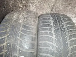 Volkswagen Golf IV R15 summer tire 19550R15