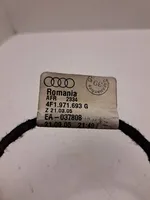 Audi A6 S6 C6 4F Faisceau de câblage de porte arrière 4F1971693G