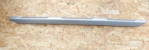 Volkswagen Passat Alltrack Rear bumper trim bar molding 