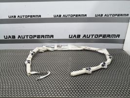 Renault Megane IV Roof airbag 