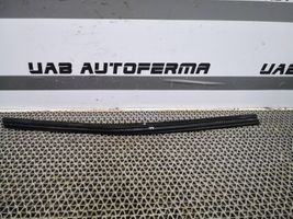 Audi Q2 - Guarnizione in gomma finestrino/vetro portiera posteriore 81A839479