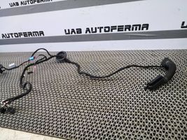 Audi Q2 - Etuoven johtosarja 81A971029AF