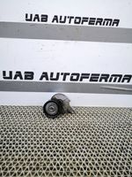 Audi Q2 - Generaattorin/laturin hihnankiristin 04L903315