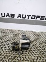 Renault Kadjar EGR-venttiili 5079750303