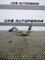 Renault Megane IV Tuyau de liquide de refroidissement moteur 110603359R