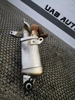 Nissan Qashqai EGR-venttiili/lauhdutin 147350364R