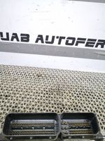 KIA Rio Sterownik / Moduł ECU 391302A200