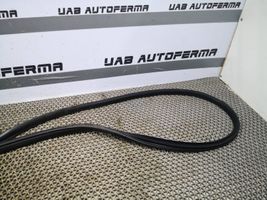 Hyundai i40 Guarnizione in gomma portiera anteriore 821203Z000RY