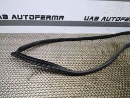 Hyundai i40 Guarnizione in gomma portiera anteriore 821203Z000RY