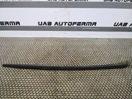 Seat Ibiza IV (6J,6P) Front door glass trim molding 6J0854320