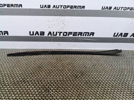 Seat Ibiza IV (6J,6P) Front door glass trim molding 6J0854319