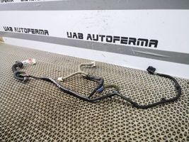 Nissan Qashqai Проводка задних дверей 241274EA1B