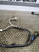 Nissan Qashqai Проводка задних дверей 241274EA1B