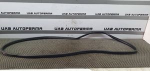 KIA Sportage Rear door rubber seal (on body) 831103U000