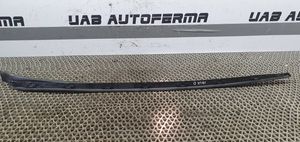 Seat Ibiza IV (6J,6P) Rivestimento modanatura del vetro della portiera anteriore 6J0854320