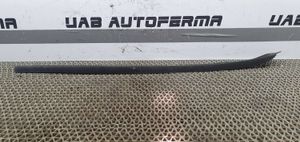 Seat Ibiza IV (6J,6P) Rivestimento modanatura del vetro della portiera anteriore 6J0854320