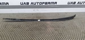 Seat Ibiza IV (6J,6P) Moulure de vitre de la porte avant 6J0854319