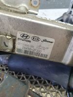 Hyundai ix35 Valvola di raffreddamento EGR 284162F300