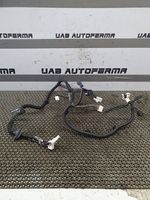 Nissan Qashqai Cablaggio porta anteriore 241254EA1D