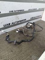 Nissan Qashqai Cablaggio porta anteriore 241244EA1D