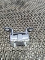 Nissan Qashqai Rear door lower hinge 