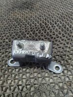 Nissan Qashqai Rear door lower hinge 