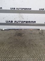 Nissan Qashqai Rivestimento modanatura del vetro della portiera posteriore 