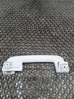 Ford Focus Rear interior roof grab handle 