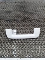 Ford Focus Rear interior roof grab handle 