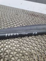 Ford Focus Rear door rubber seal (on body) 