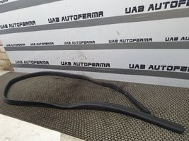 Ford Focus Rear door rubber seal (on body) 