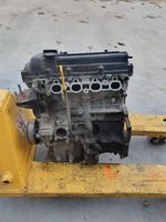 Hyundai i30 Variklis 12A040123B1