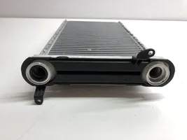 BMW 3 F30 F35 F31 Radiateur électrique de chauffage auxiliaire T1012895E