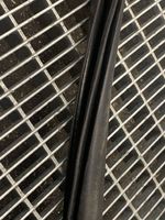 Ford Mustang VI Front door rubber seal FR3B6320708