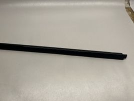 BMW 2 F22 F23 Door glass trim 17344