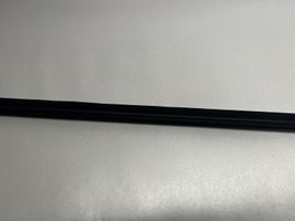 BMW 2 F22 F23 Door glass trim 17344