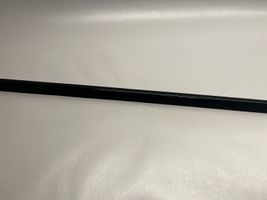 BMW 2 F22 F23 Door glass trim 17344