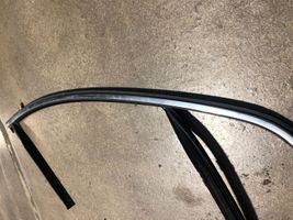 Volvo S60 Front door rubber seal 